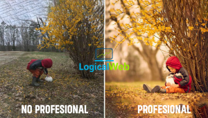 ¿Diferencias entre profesional y no profesional?