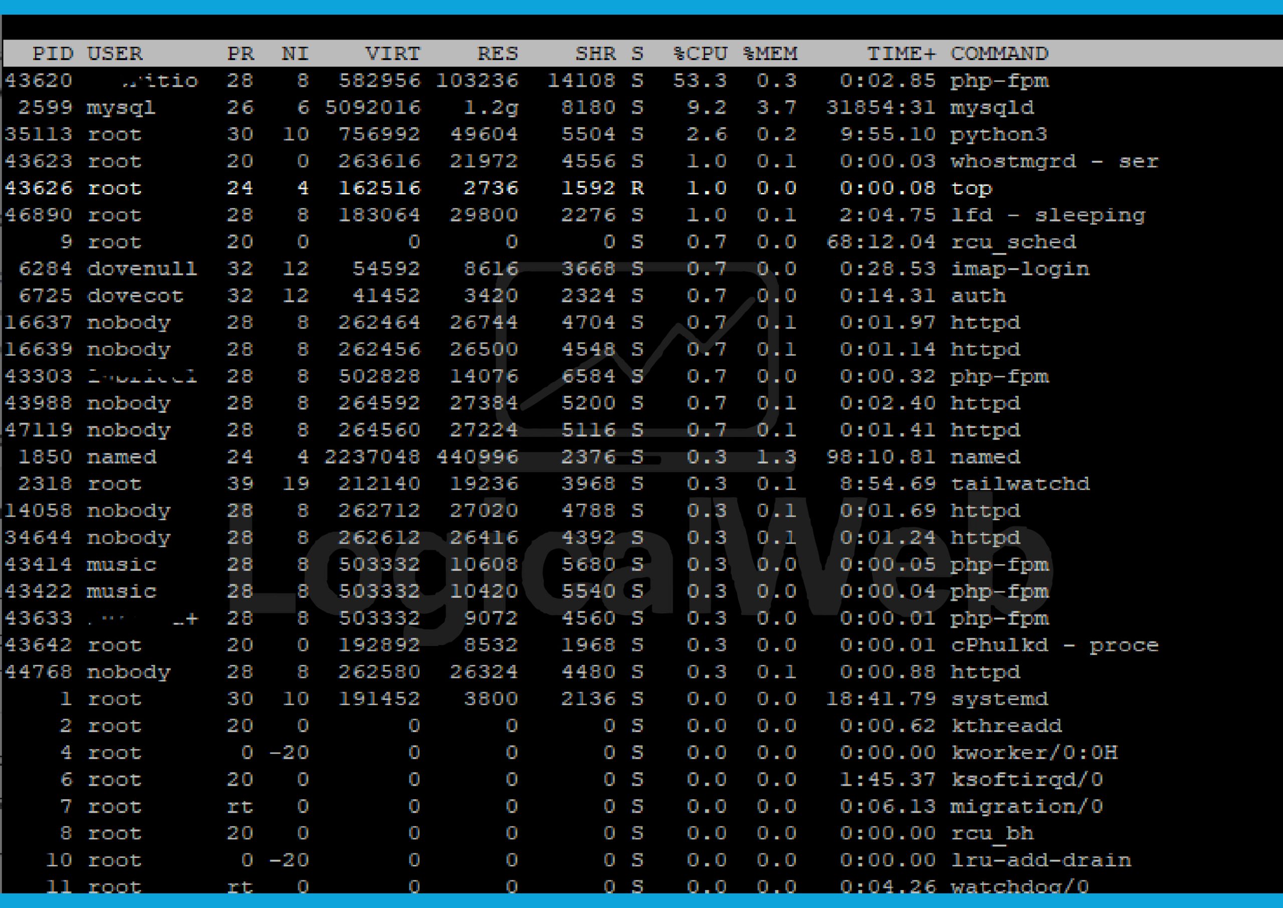 ver los procesos del servidor que ponen lenta la carga de tu pagina web por medio de ssh con comando top